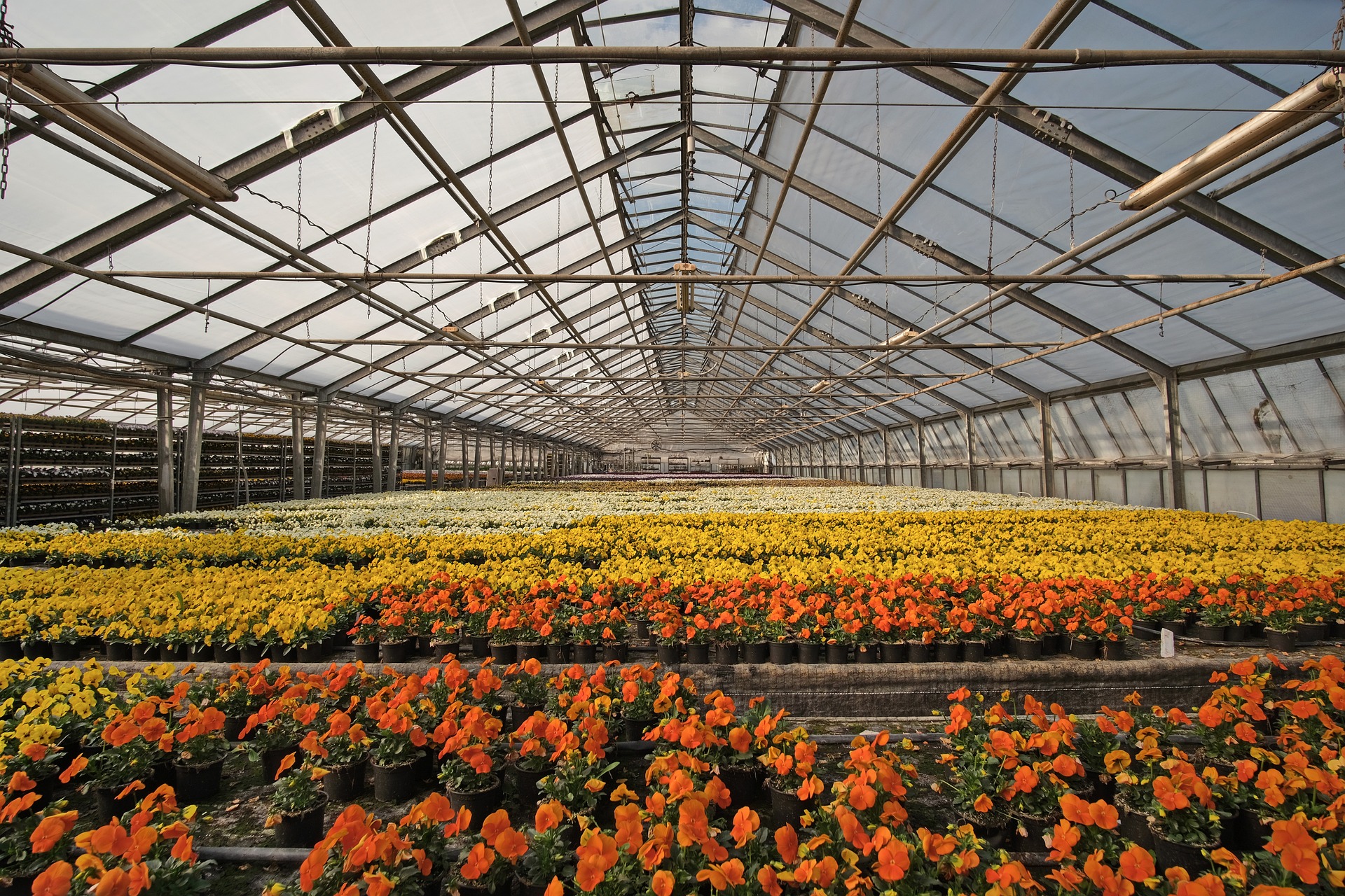 Refonte du site e-commerce B2B pour Horticash